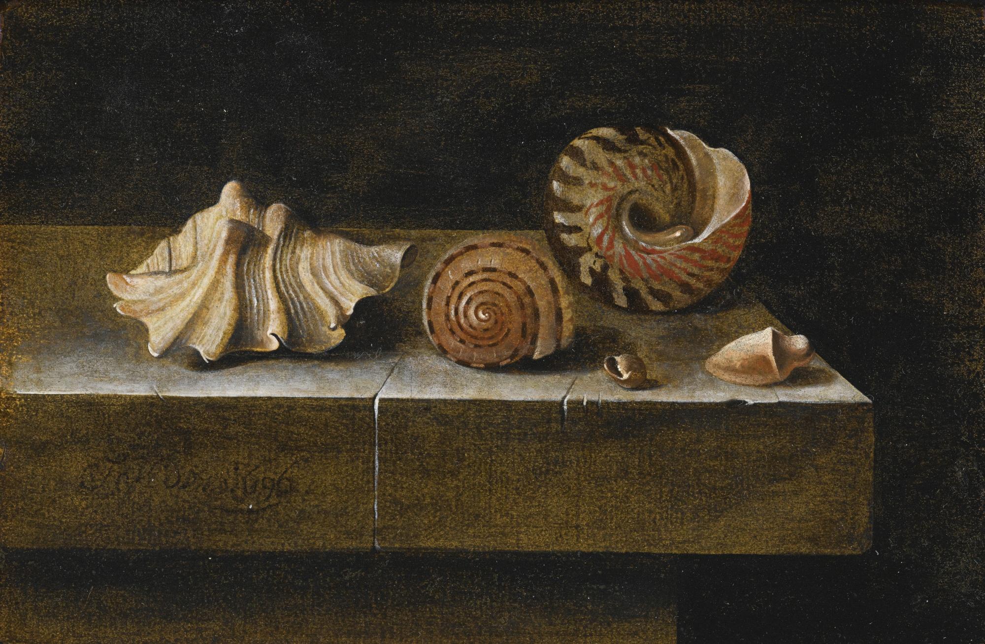 Adriaen Coorte - Still Life With Sea Shells