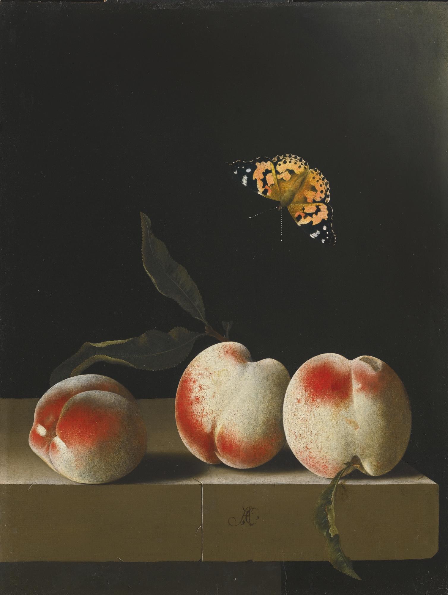 Adriaen Coorte - Three Peaches On A Stone Ledge, With A Red Admiral Butterfly
