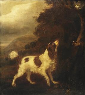 Adriaen Cornelisz. Beeldemaker - An English Springer Spaniel and a grey cat in a landscape