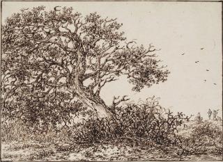 Adriaen Hendriksz. Verboom - A windswept tree, with travellers on a dune beyond