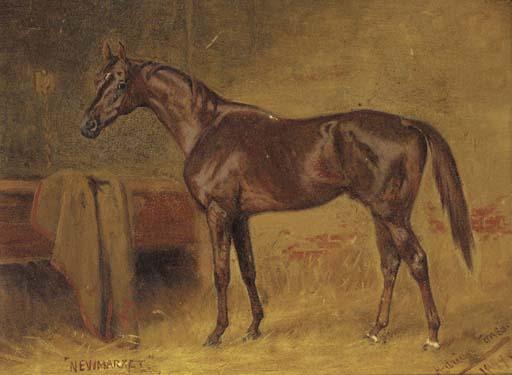 Adriaen Jones - A chestnut racehorse in a stable