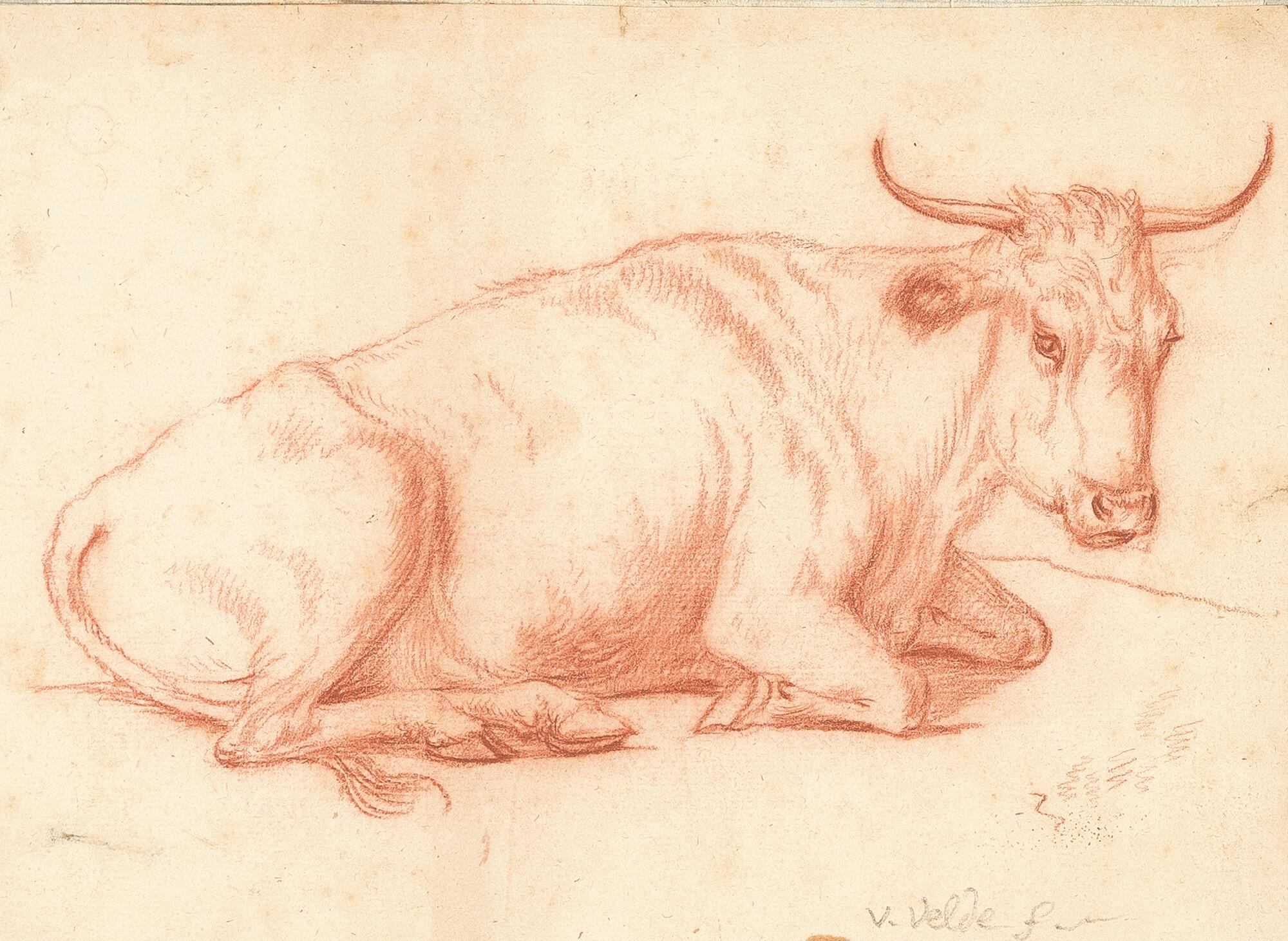 Adriaen van de Velde - 2 Bll.: Ruhende Kuh – Hundestudie