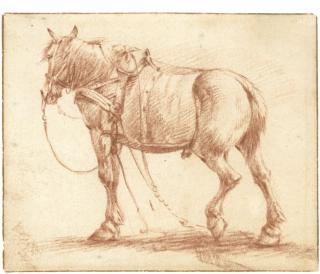 Adriaen Van De Velde - Two Drawings Of Tacked Up Horses