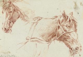 Adriaen van de Velde - Two studies of the head of a horse