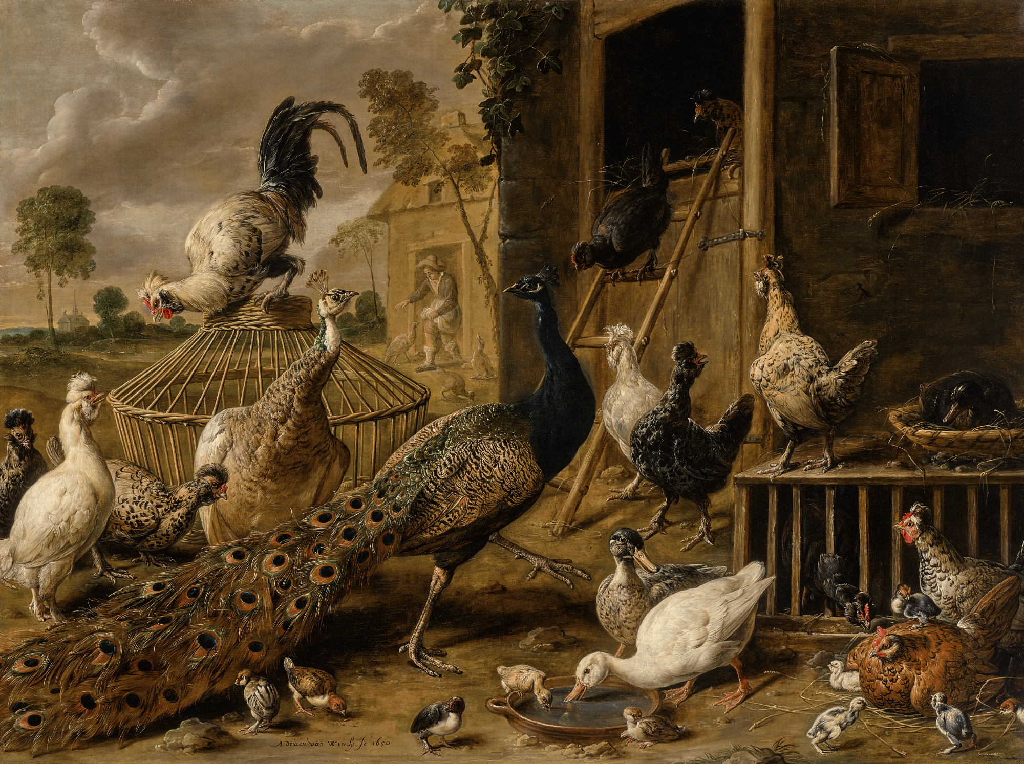 Adriaen Van Utrecht - A Peacock, A Peahen, Cockerels, Hens, Ducks, Ducklings And Chicks In A Farmyard