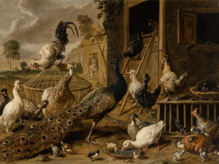 Adriaen Van Utrecht - A Peacock, A Peahen, Cockerels, Hens, Ducks, Ducklings And Chicks In A Farmyard