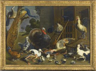Adriaen Van Utrecht - A Variety Of Birds Including A Peacock, Turkey, Chickens, And Ducks With Their Young Drinking, Playing And Pecking About In A Yard