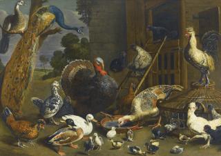 Adriaen Van Utrecht - A Variety Of Birds Including A Peacock, Turkey, Chickens, And Ducks With Their Young Drinking, Playing And Pecking About In A Yard