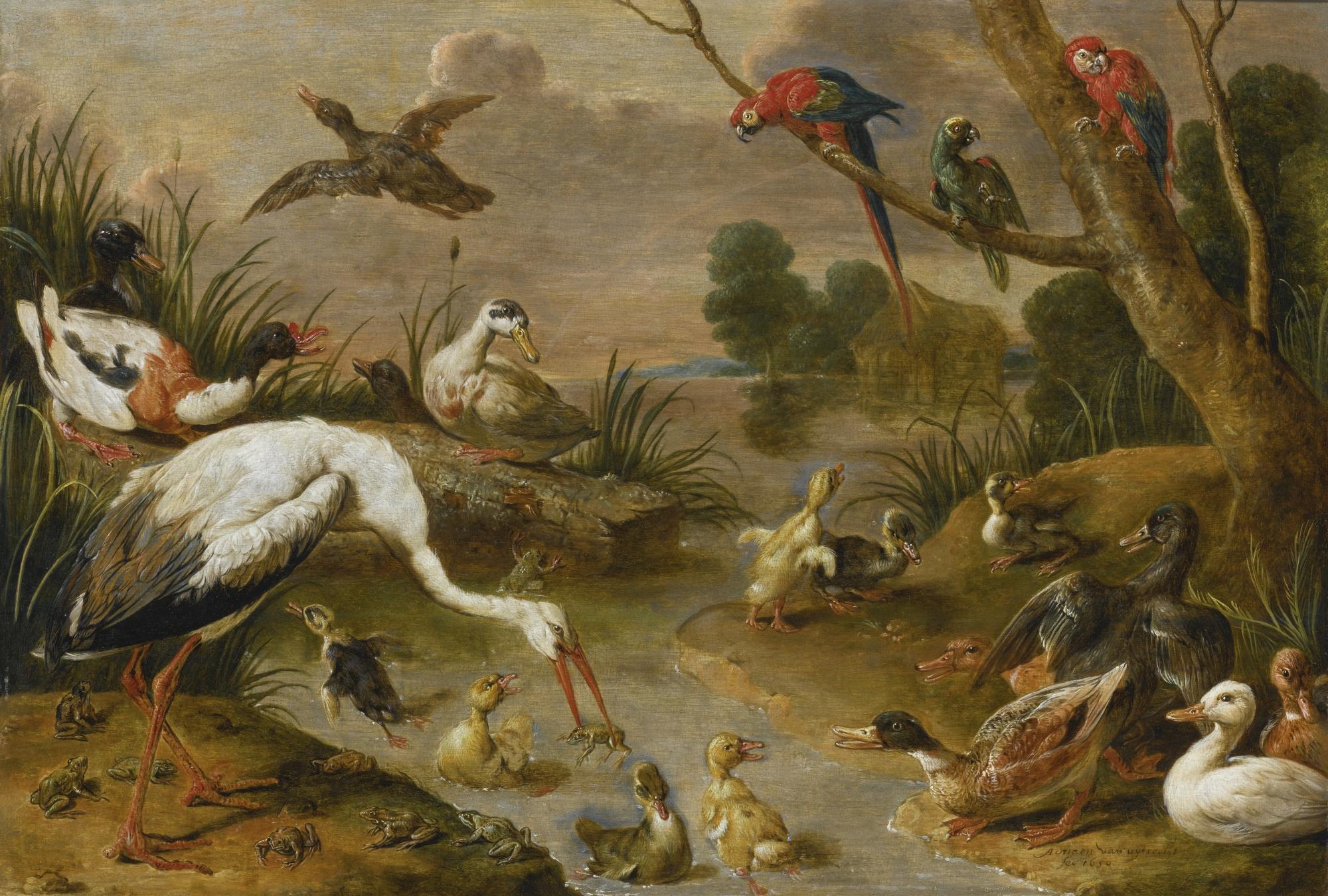 Adriaen Van Utrecht - Birds, Including Ducks, Parrots And A Heron, In An Extensive Landscape
