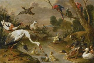 Adriaen Van Utrecht - Birds, Including Ducks, Parrots And A Heron, In An Extensive Landscape