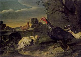 Adriaen van Utrecht - Dindons Et Poules