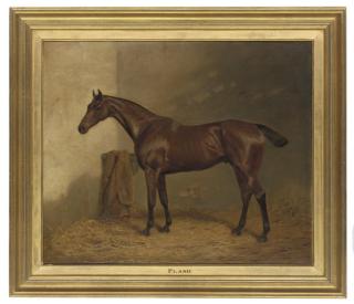 Adrian Jones - Flash, A Bay Thoroughbred In A Stable