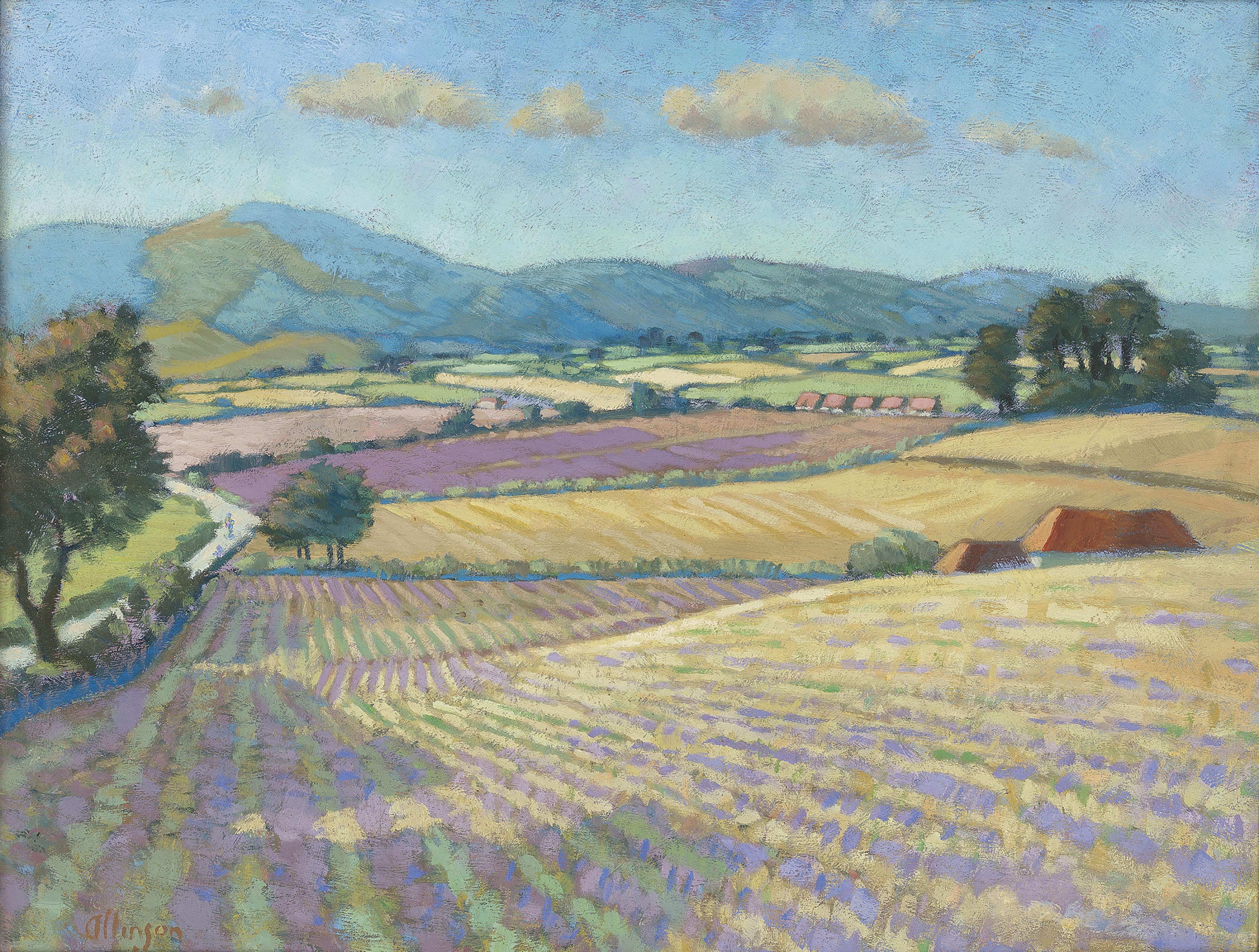 Adrian Paul Allinson - Lavender Fields in France