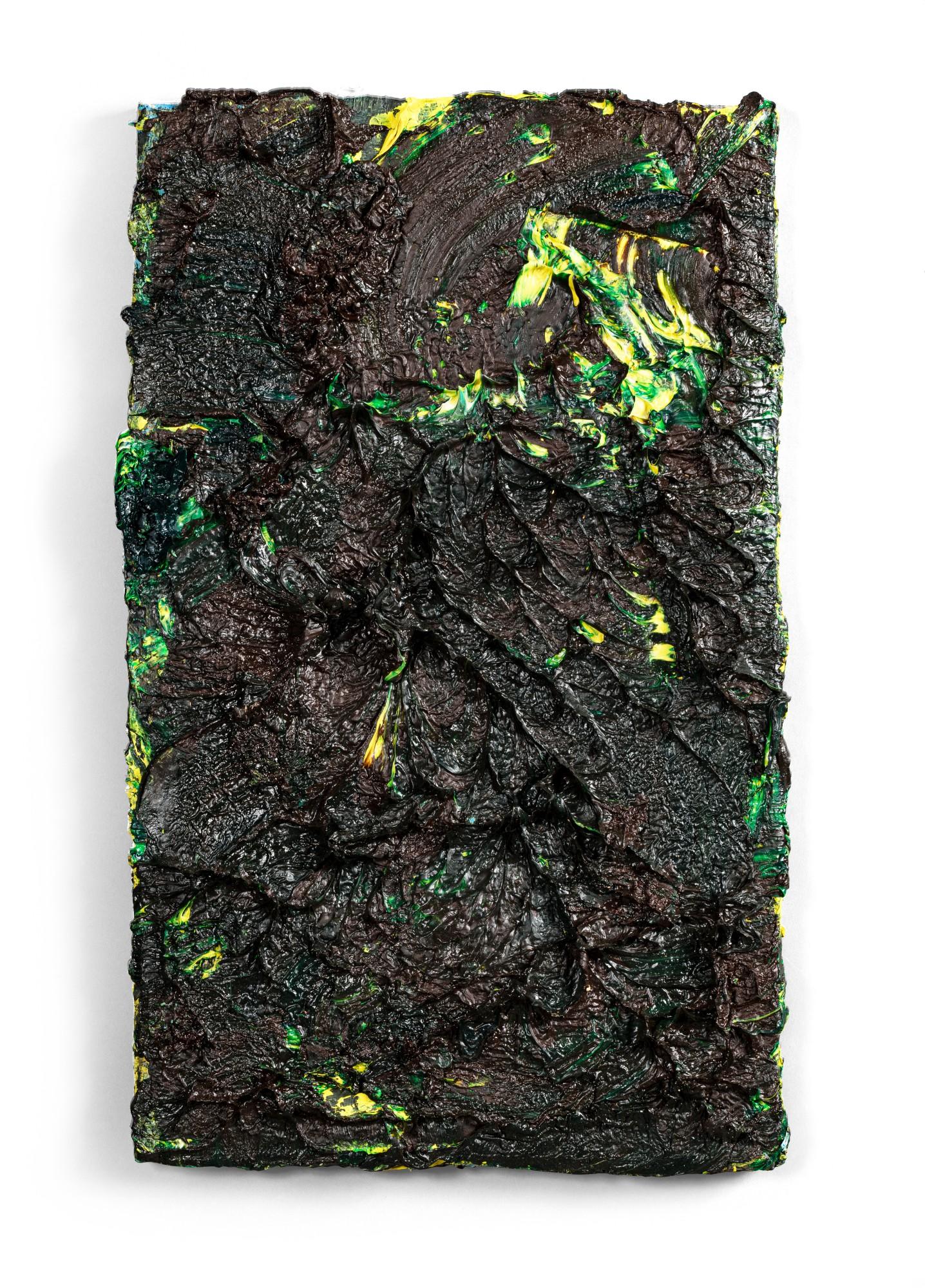 Adrian Schiess - Mon jardin en pleine lune