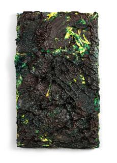 Adrian Schiess - Mon jardin en pleine lune