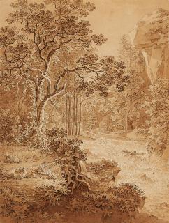 Adrian Zingg - Landschaft im Schandauer Grund