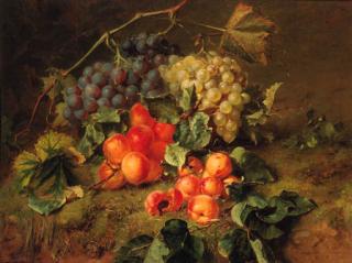 Adriana Johanna Haanen - A still life with grapes and apricots