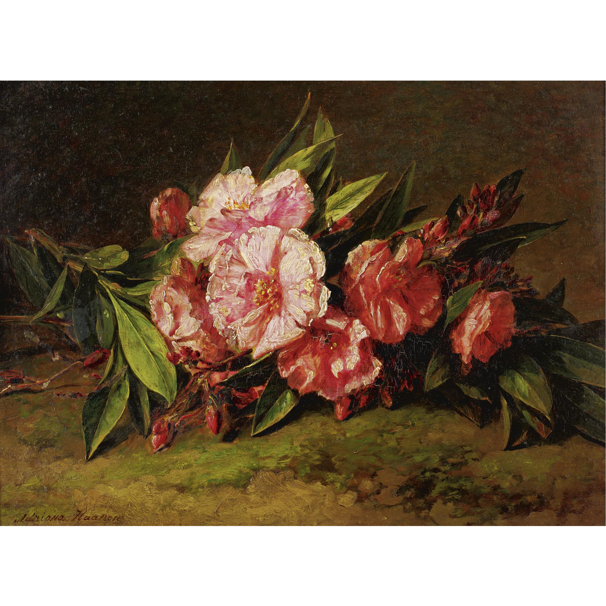 Adriana-Johanna Haanen - Azalea Blossoms On A Ledge