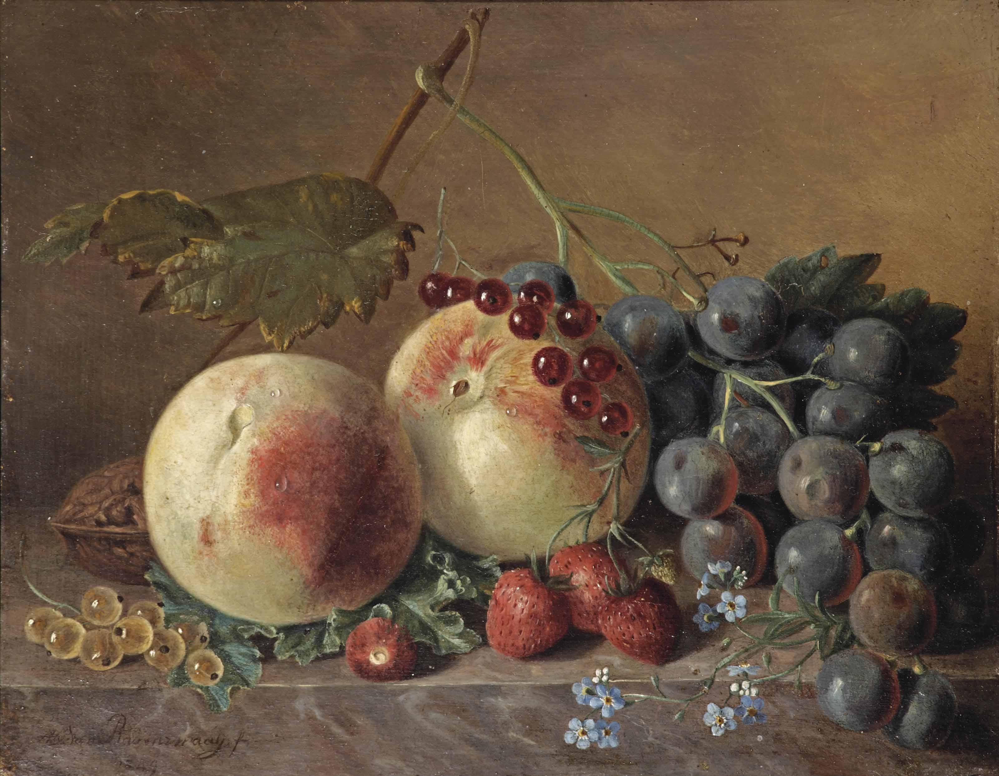 Adriana Van Ravenswaay - Peaches, grapes, wild strawberries, red and white currants, forget-me-nots and a walnut on a marble ledge