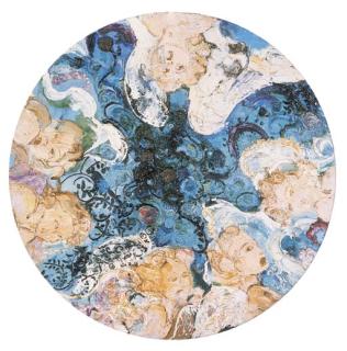 Adriana Varejão - Cirkeln