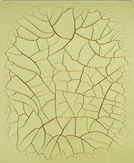 Adriana Varejão - Green Song