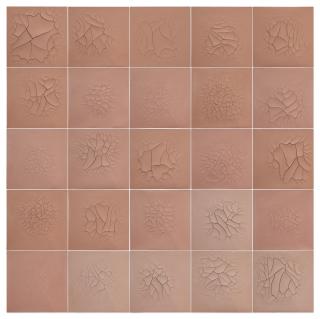 Adriana Varejão - Macau Wall (Terracotta) 1-25
