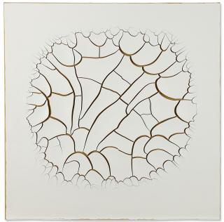 Adriana Varejão - Monocromo Roma I