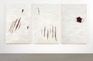 Adriana Varejão - Trois Petites Morts