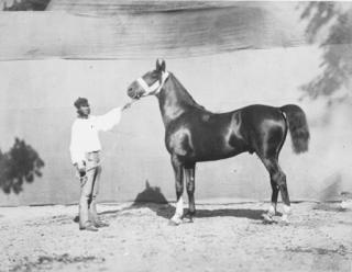 Adrien Tournachon - \'Bois-Robert\', circa 1859