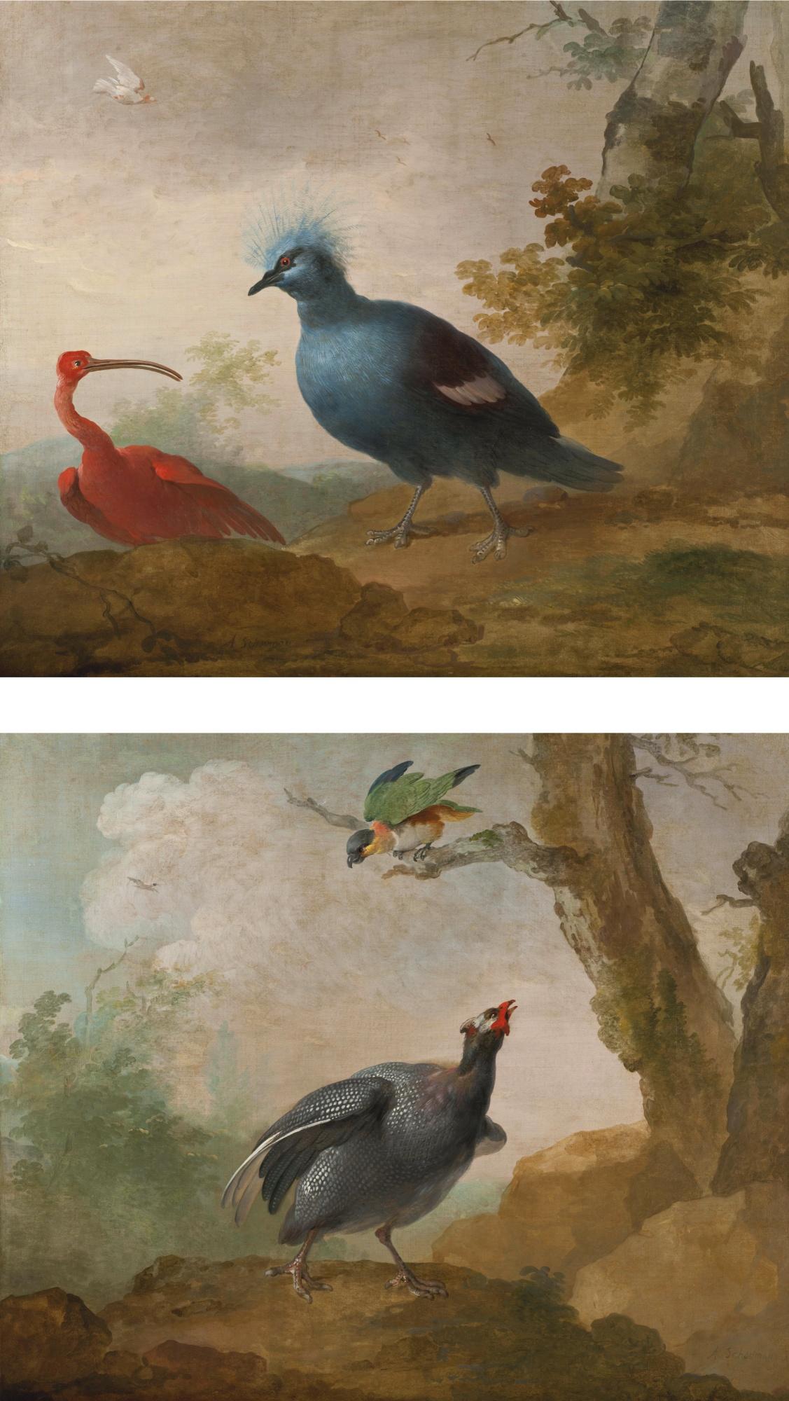 Aert Schouman - A Helmeted Guinea Fowl And A Black Headed Caïque On A Branch; And A Red Ibis And A Victoria Crowned Pigeon