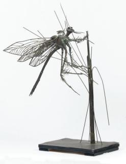 Aert van den Ijssel - Moederlibel