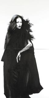 Afshin Pirhashemi - Domaine de sécurité