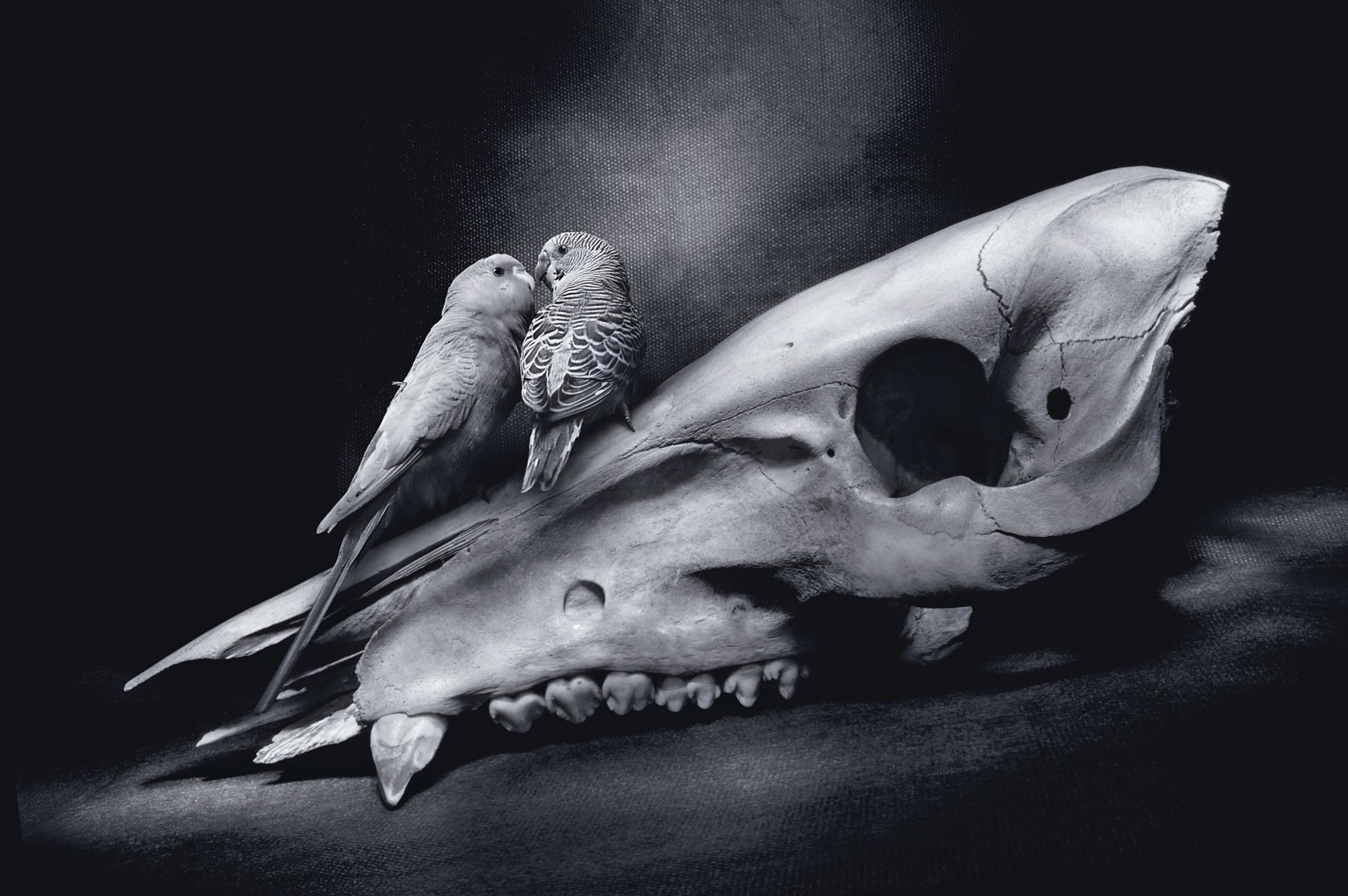 Agan Harahap - The Kiss