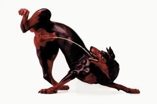 Agapetoes Agus Kristiandana - Binatang Jalang