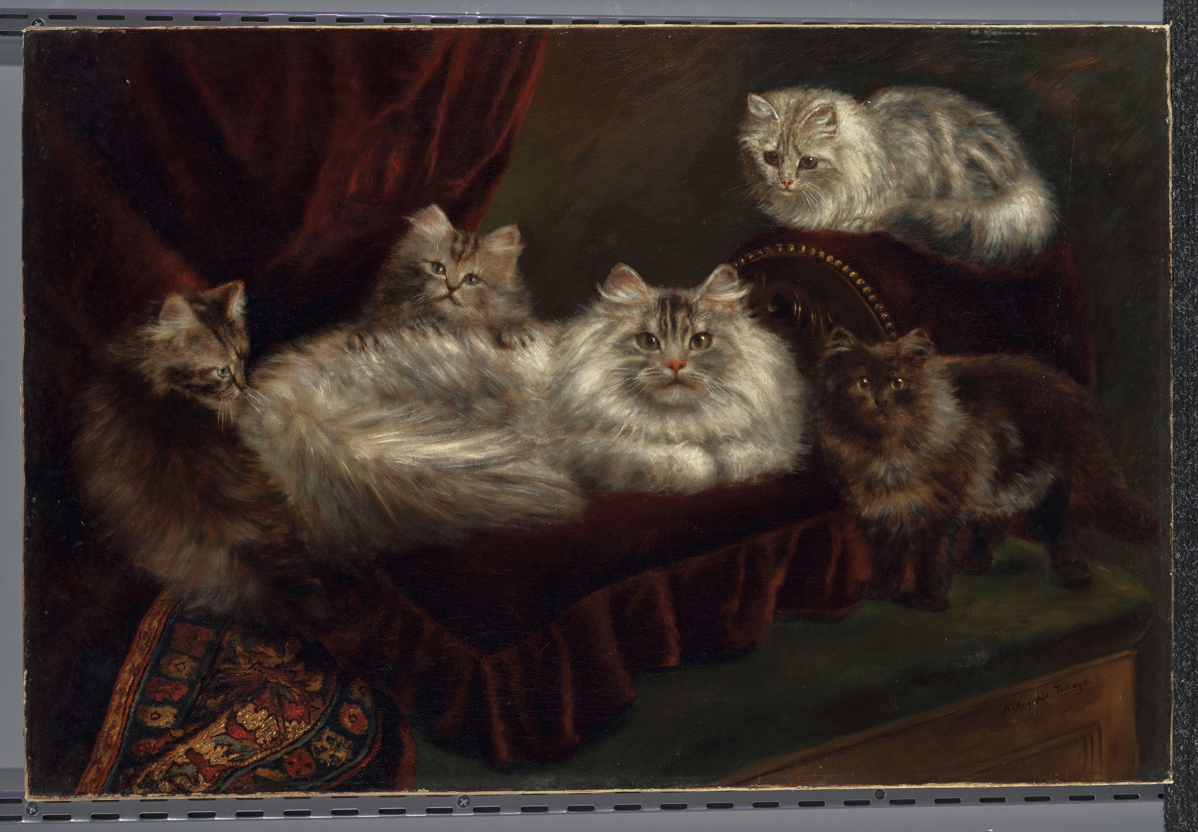 Agnes Augusta Talboys - A family of cats on a red velvet bed