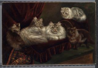 Agnes Augusta Talboys - A family of cats on a red velvet bed