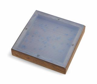 Agnes Martin - The Wave