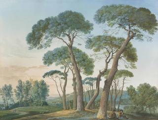 Agostino Aglio - A group of stone pines near Tivoli, seen from Villa Adriana