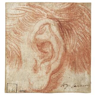 Agostino Carracci - Study Of An Ear