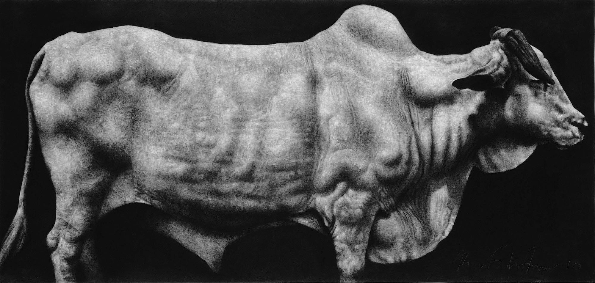 Ahmad Zakii Anwar - Holy cow