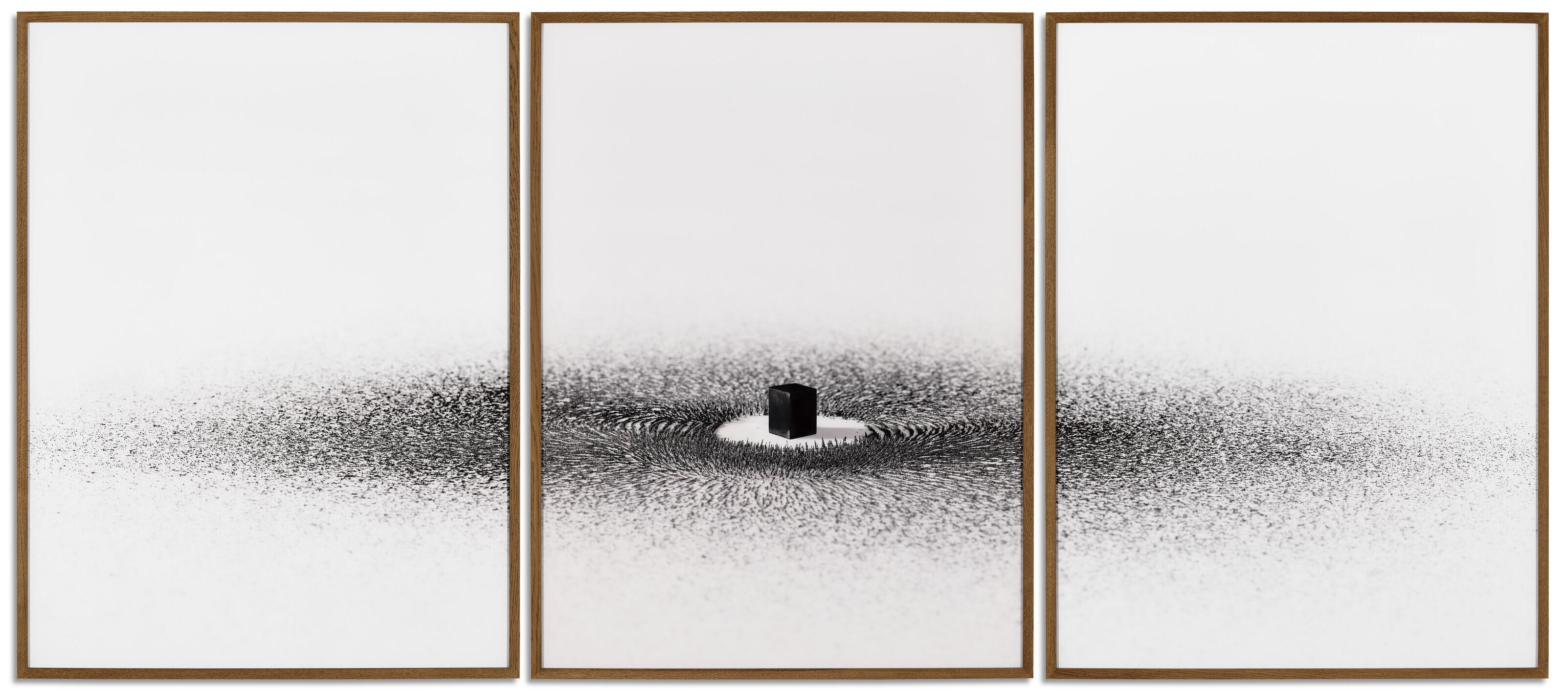 Ahmed Mater - Magnetism (Triptych)