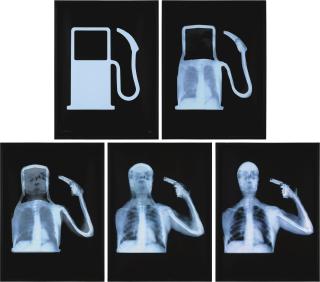 Ahmed Mater - Saudievolution Of Man 