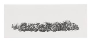 Ahmet Doğu Ipek - Second Harvest