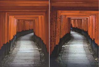 Ahmet Ertug - Avenue of Torii Gates At Fushimi Shrine, Kyoto, 1978