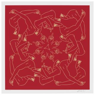 Ai Weiwei - Middle Finger in Red