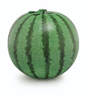 Ai Weiwei - Watermelon