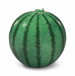 Ai Weiwei - Watermelon