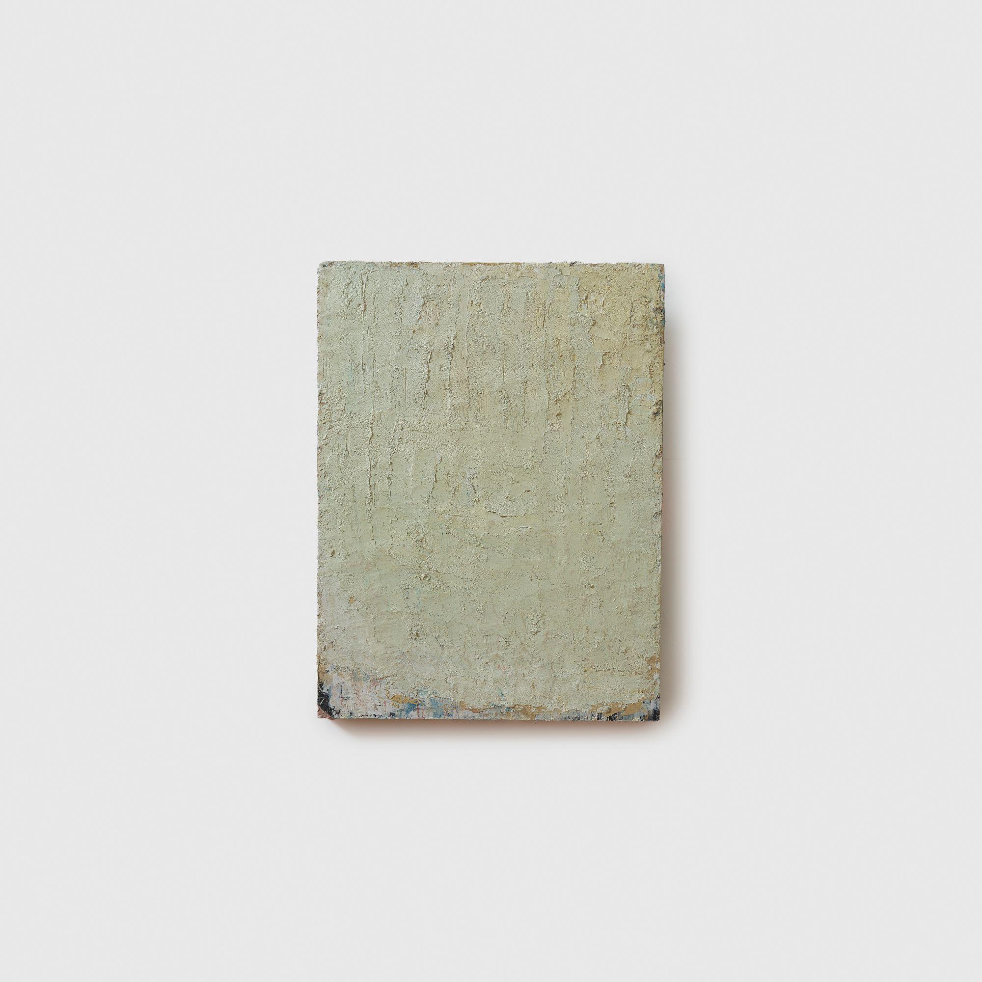 Aida Tomescu - Alb I, 2002