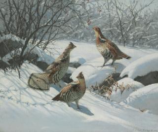 Aiden Lassell Ripley - Grouse in Fresh Snow