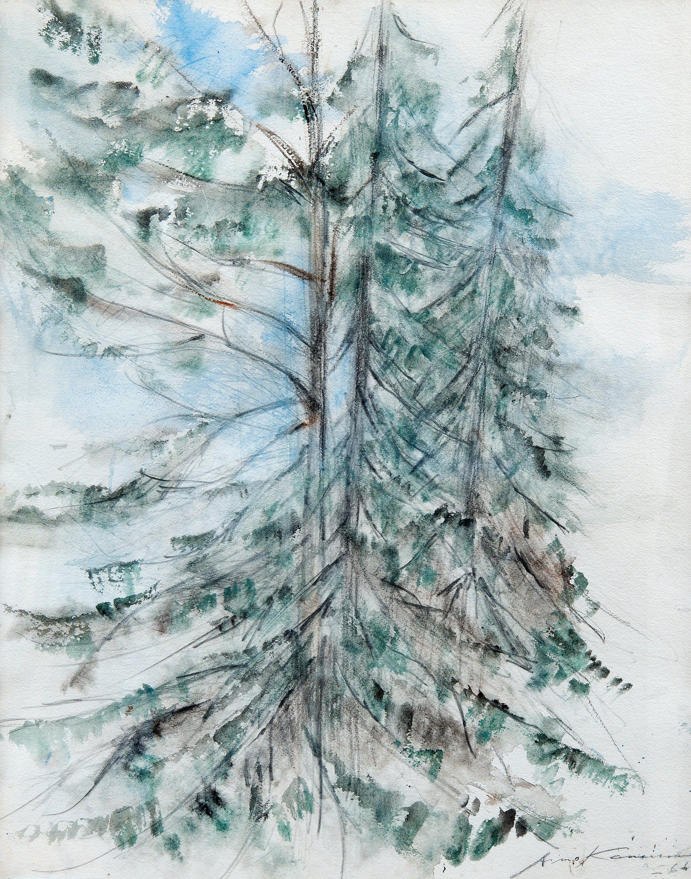 Aimo Kanerva - Fir Trees.